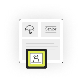 Senior Term Life Insurance